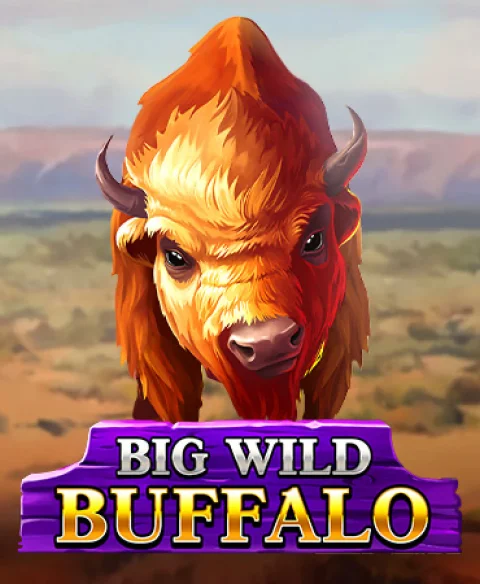 Play Big Wild Buffalo at Bet Coco Casino